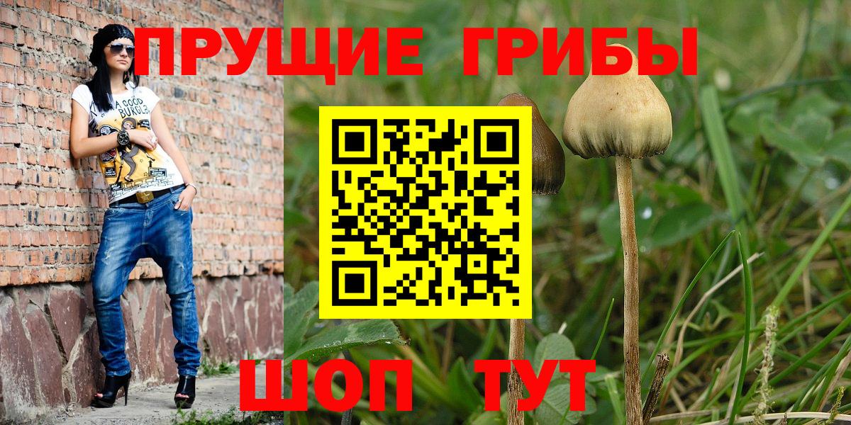 Благодарный  Псилоцибиновые грибы MAGIC MUSHROOMS  продажа наркотиков  Вход с VPN 