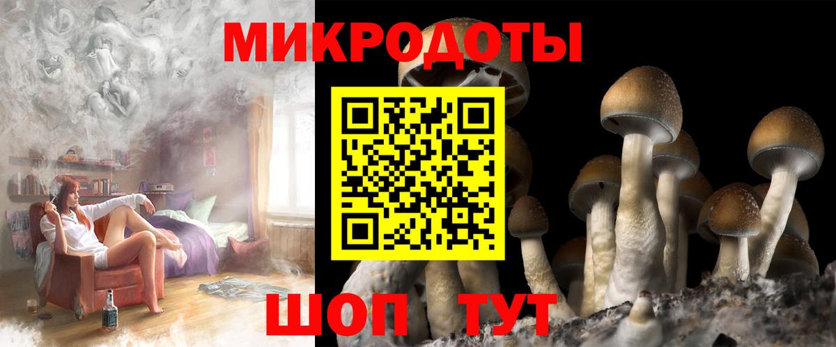 Псилоцибиновые грибы GOLDEN TEACHER  Благодарный  Галлюциногенные грибы мицелий 