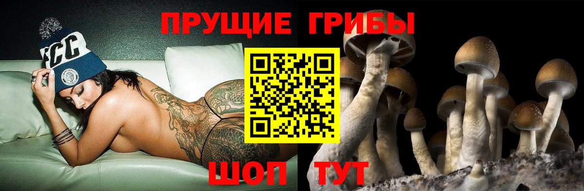 Галлюциногенные грибы мицелий Благодарный